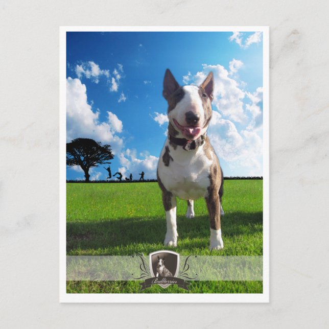 Postal Postkarte Bullterrier (Anverso)