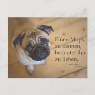 Postal Postkarte "Einen Mops zu kennen......