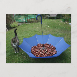 Postal Postkarte - ¿el bist du denn?