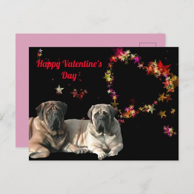 Postal Postkarte English Mastiff Valentinstags  (Anverso / Reverso)