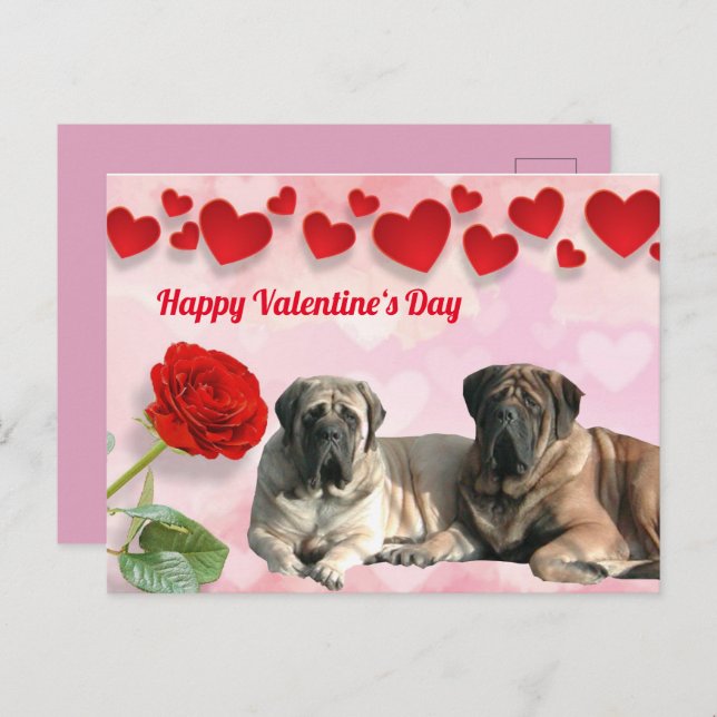 Postal Postkarte English Mastiff Valentinstags  (Anverso / Reverso)