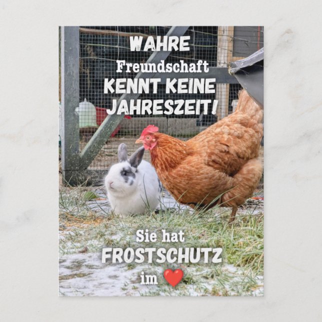 Postal Postkarte „Frostschutz im Herzen“ (Anverso)