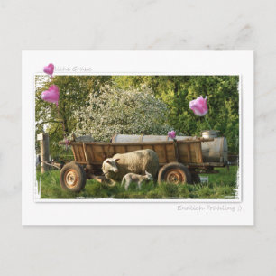 Postal Postkarte: Frühling