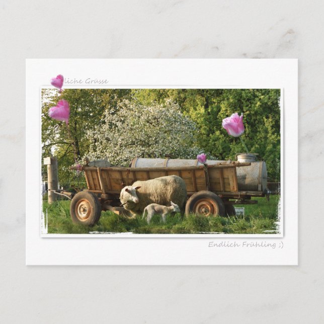 Postal Postkarte: Frühling (Anverso)