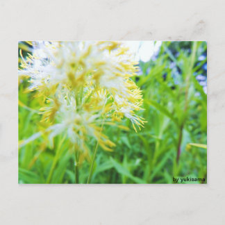 Postal Postkarte - Gelbe Blume