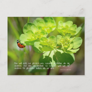 Postal Postkarte Glück (Edición sinn.worte)