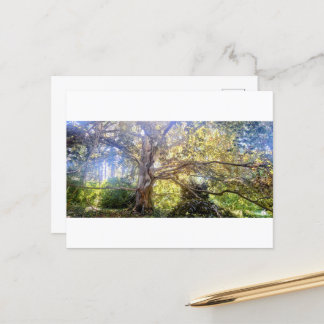 Postal Postkarte Großer Laubbaum