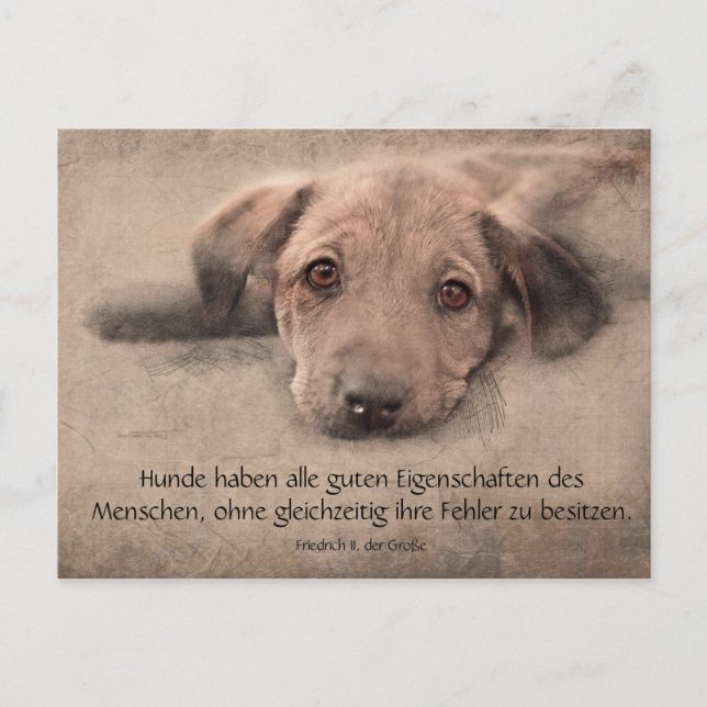 Postal Postkarte Hundewelpe mit Zitat (Anverso)