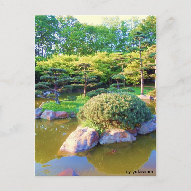 Postal Postkarte - Insel Spuerkröten (Anverso)