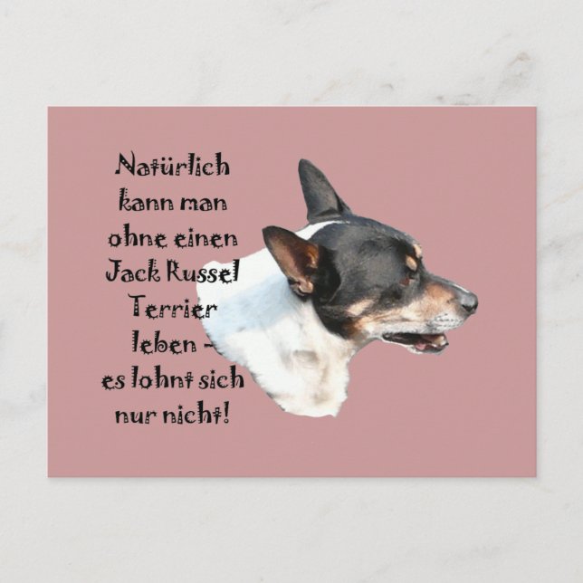 Postal Postkarte "Jack Russel Terrier" (Anverso)