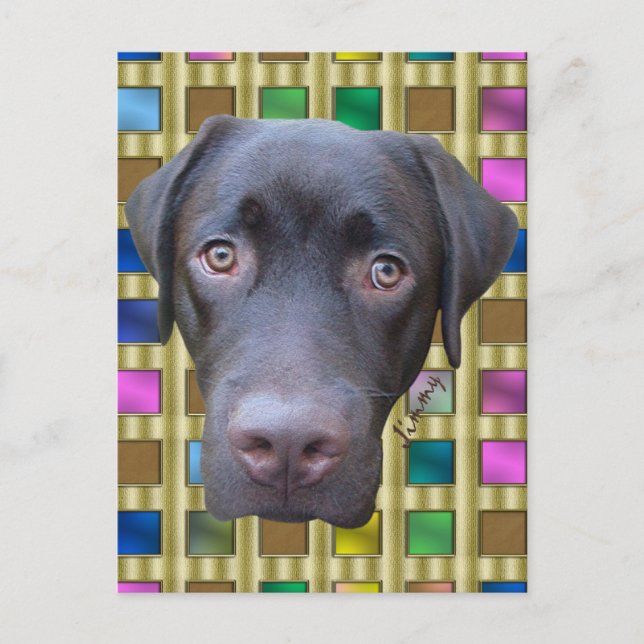 Postal Postkarte Labrador Jimmy (Anverso)