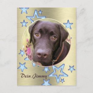 Postal Postkarte Labrador Jimmy