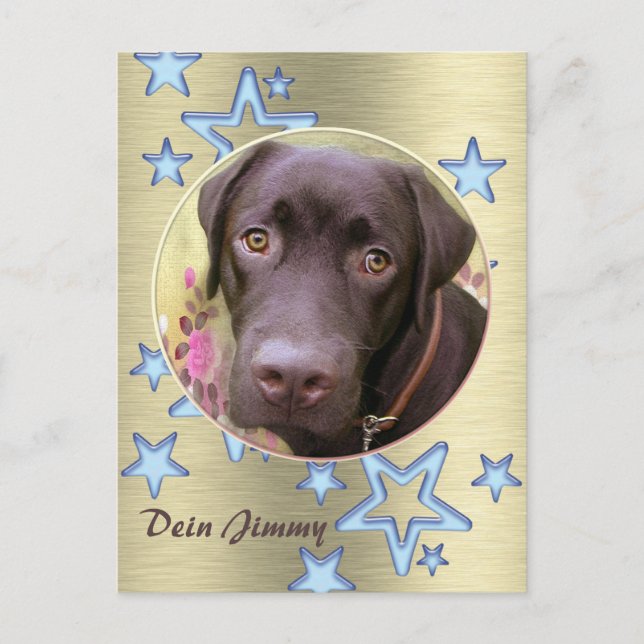 Postal Postkarte Labrador Jimmy (Anverso)