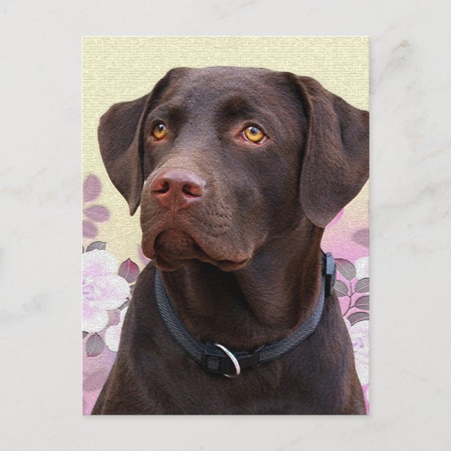 Postal Postkarte Labrador Lorenzo (Anverso)