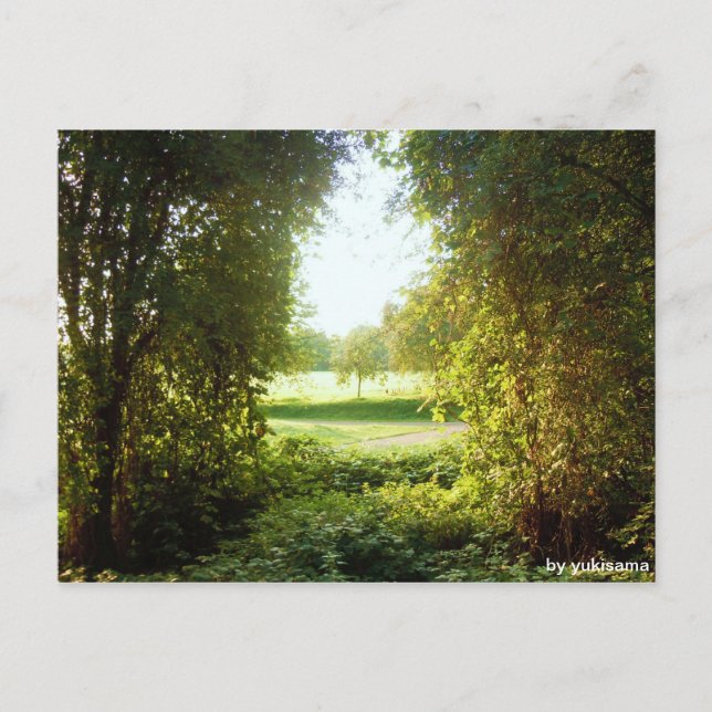 Postal Postkarte - Laubfenster (Anverso)