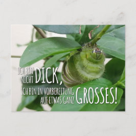 Postal Postkarte mit Raupe & Humor 