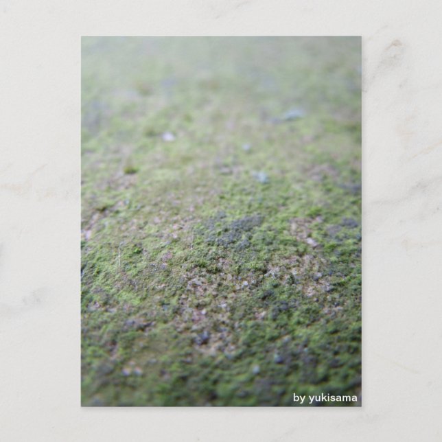 Postal Postkarte - Moß (Anverso)
