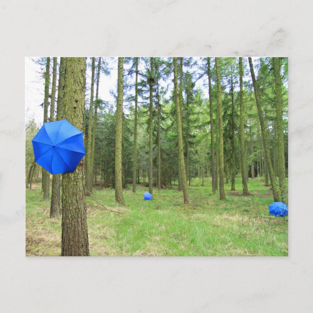 Postal Postkarte - neulich im Wald (Anverso)