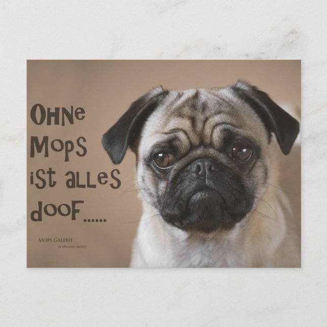 Postal Postkarte "Ohne Mops ist alles doof" (Anverso)