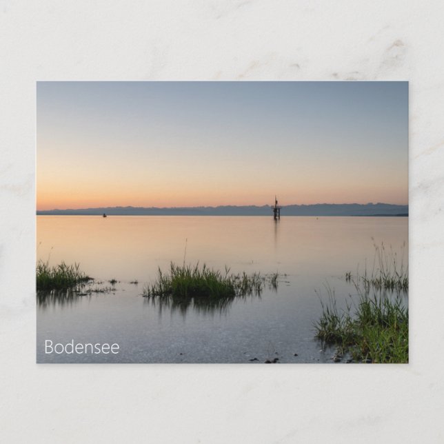 Postal Postkarte vom Bodensee mit Alpen (Anverso)