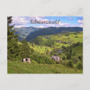 Postal Postkarte: Wiesen und eine Kuh mit Panoramaansicht