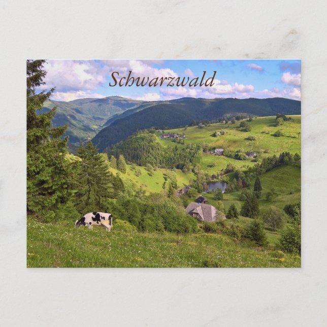 Postal Postkarte: Wiesen und eine Kuh mit Panoramaansicht (Anverso)