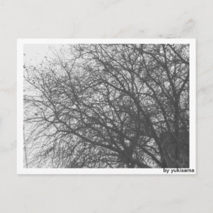 Postal Postkarte - Winterbaum