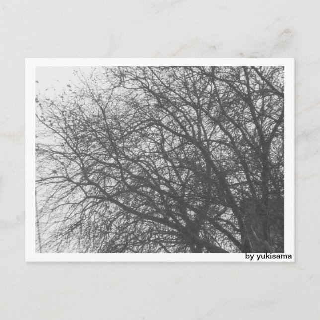 Postal Postkarte - Winterbaum (Anverso)