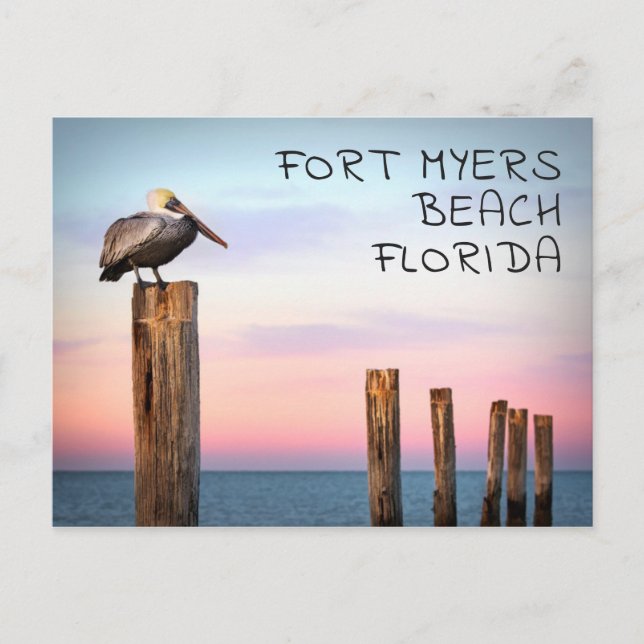 Postal Posts y una Pelican | Fort Myers Beach, Florida (Anverso)