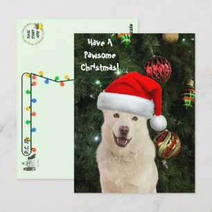 Postal Posttravesar Santa Paws - Los felices Navidades Hu