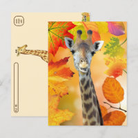 Posttravesía - Colorido otoño / otoño Giraffe