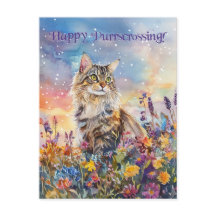 Posttravesía de Maine Coon - Postcard