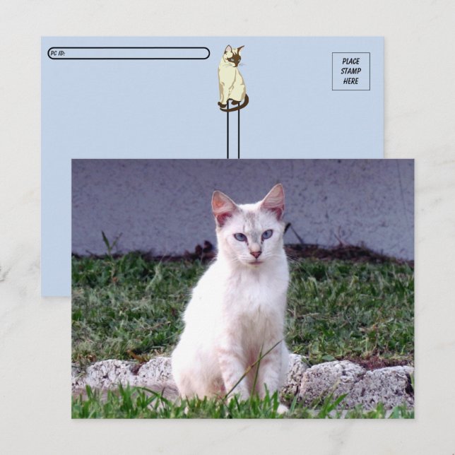 Postal Posttravesía - El callejón sin salida de Siamese - (Anverso / Reverso)