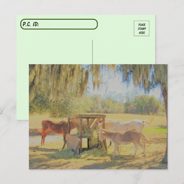 Postal Posttravesía =Estación de alimentación 2 caballos  (Anverso / Reverso)
