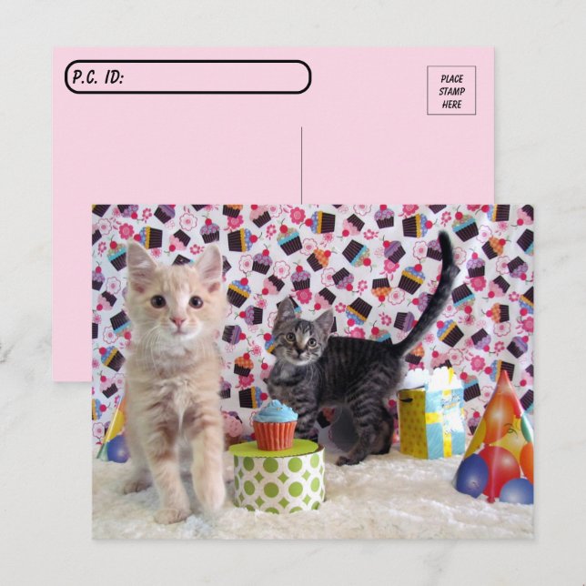 Postal Posttravesía - Felices gatos de cumpleaños (Anverso / Reverso)