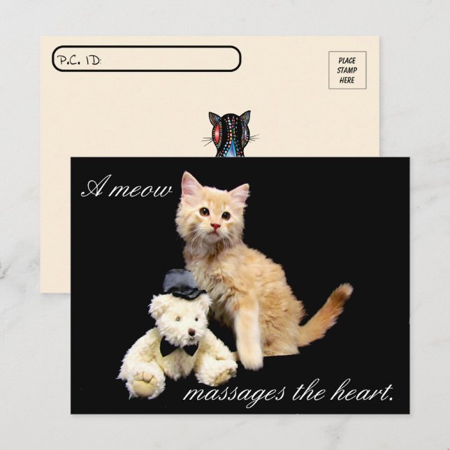 Postal Posttravesía - Foto de gato - Sundrop and Teddy Be (Anverso / Reverso)