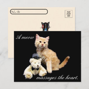 Postal Posttravesía - Foto de gato - Sundrop and Teddy Be