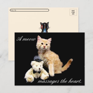 Postal Posttravesía - Foto de gato - Sundrop and Teddy Be