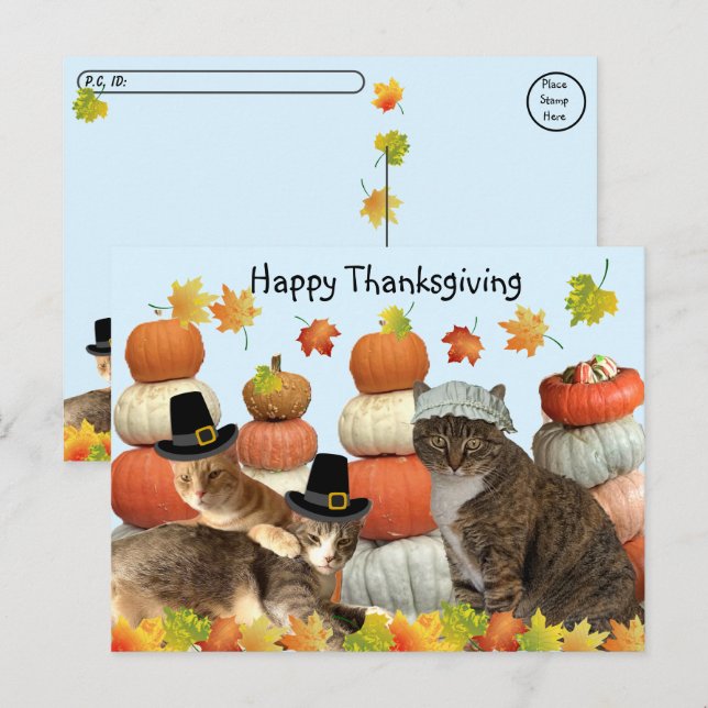 Postal Posttravesía - Gatos, calabazas y hojas de otoño (Anverso / Reverso)