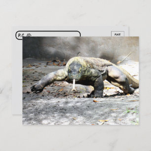 Postal Posttravesía - Komodo Dragon viene por ti