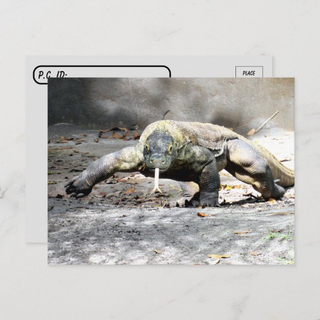 Postal Posttravesía - Komodo Dragon viene por ti (Anverso / Reverso)