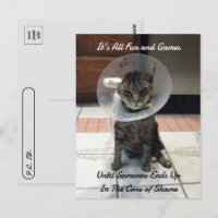 Posttravesía - Oliver El cono de la vergüenza gato