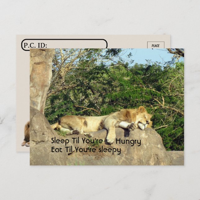 Postal Posttravesía - Sueño de león hasta cita hambrienta (Anverso / Reverso)