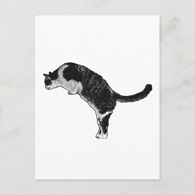 Postal Postura de Gato Alegría (Anverso)