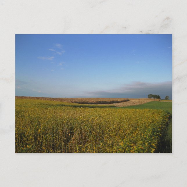 Postal Potomac 1 (Anverso)