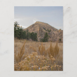 Postal Poudre Canyon Colorado Postcard