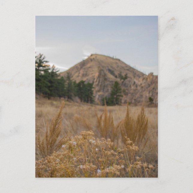 Postal Poudre Canyon Colorado Postcard (Anverso)