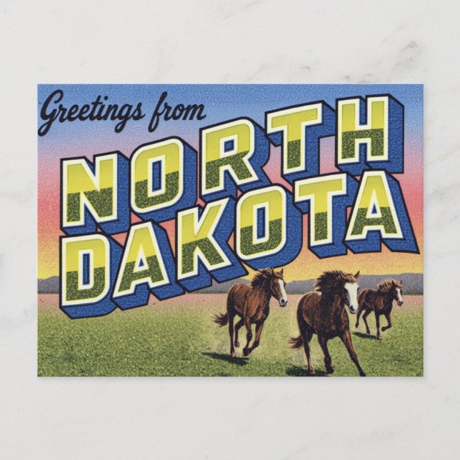 Postal Pradera de caballos salvajes de Dakota del Norte (Anverso)