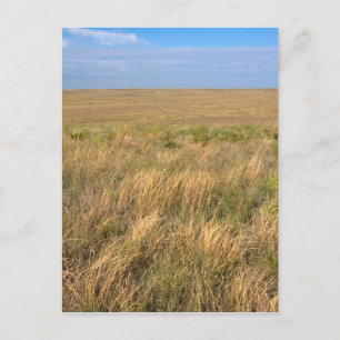Postal Pradera de pastizales al este de Sidney, Nebraska.