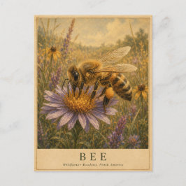 Postal Praderas de flores silvestres de abeja VINTAGE